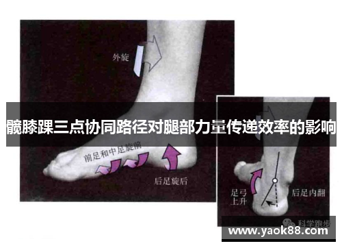 髋膝踝三点协同路径对腿部力量传递效率的影响